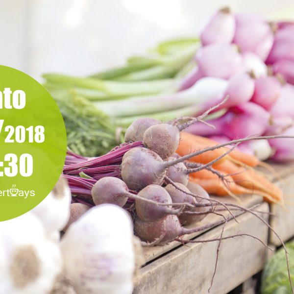 L’orto in cucina, un menù tutto vegetariano.